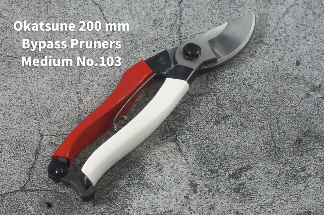 Essential Pruning Tools Kit: Pruners, Pruning Saws and Leather Case