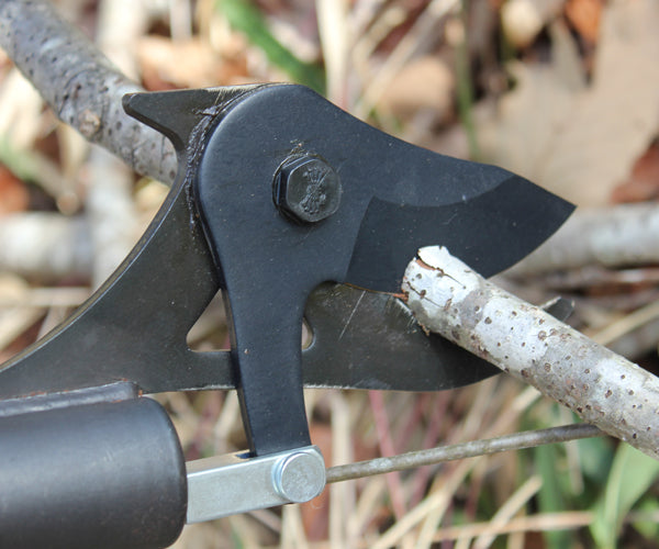 NISHIGAKI Futomaru Large Branch Lopper 1.5 m N-154