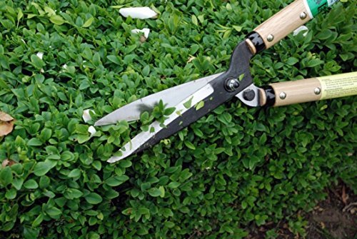 Okatsune Hedge Shears Medium handle Short blade No.204