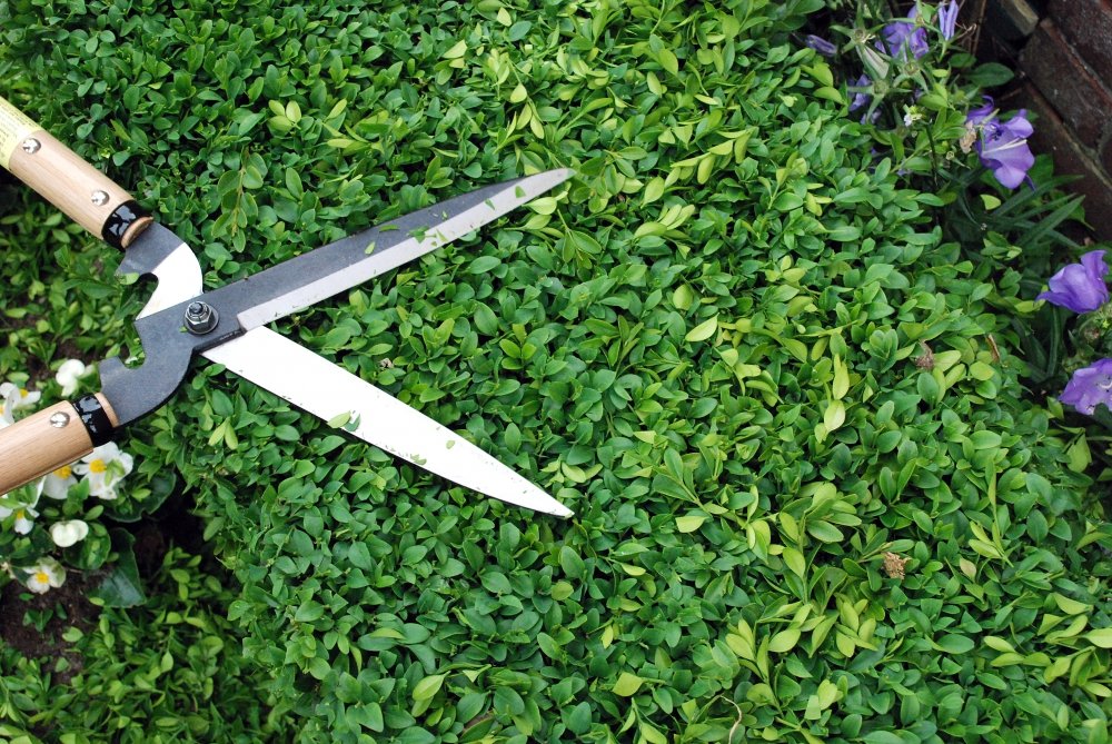 Okatsune Hedge Shears Short Handle Long Blade No.231
