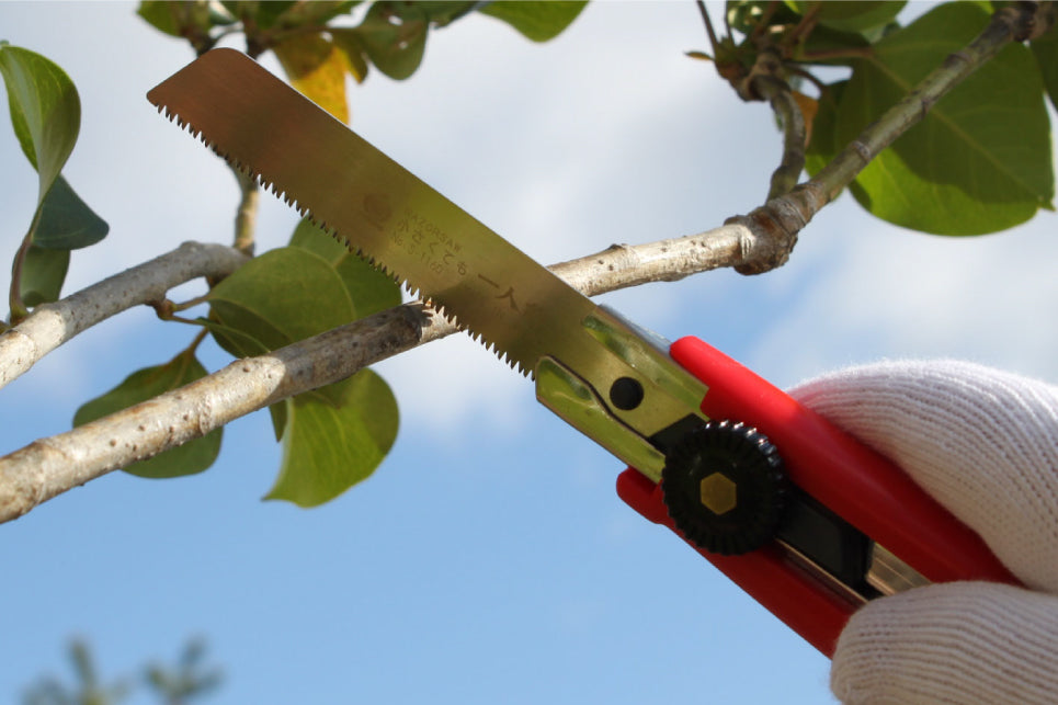 GYOKUCHO RAZORSAW Cutter Saw for Green Wood No. 1161