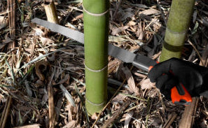 GYOKUCHO RAZORSAW SHINKA Series Bamboo Saw 240 mm or 270 mm