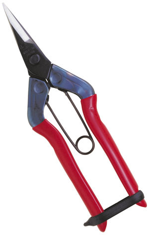 Chikamasa Fruits Picking Shears Straight Blade T-500