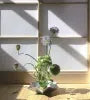 ISHIZAKI MIYABI HANAASOBI Stainless Steel Ikebana Kenzan