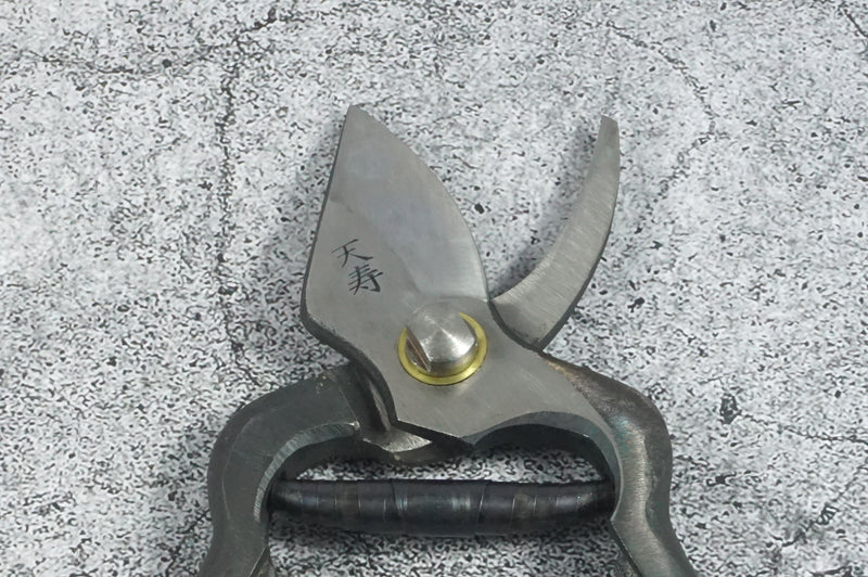 Tenju Tsugaru Type Forged Pruning Shears Nishiki SK-5 190 mm