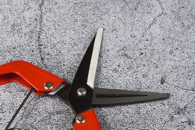 Kamaki SK-5 Sampling Scissors Blade Length 50 mm Total Length 190 mm No. 710D