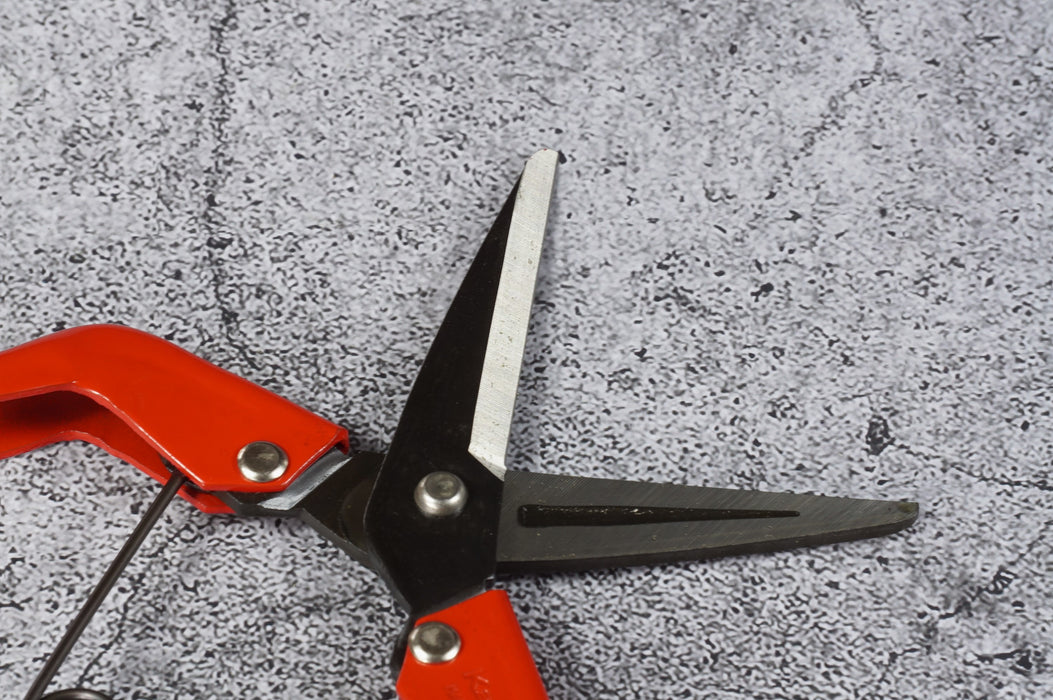 Kamaki SK-5 Sampling Scissors Blade Length 50 mm Total Length 190 mm No. 710D