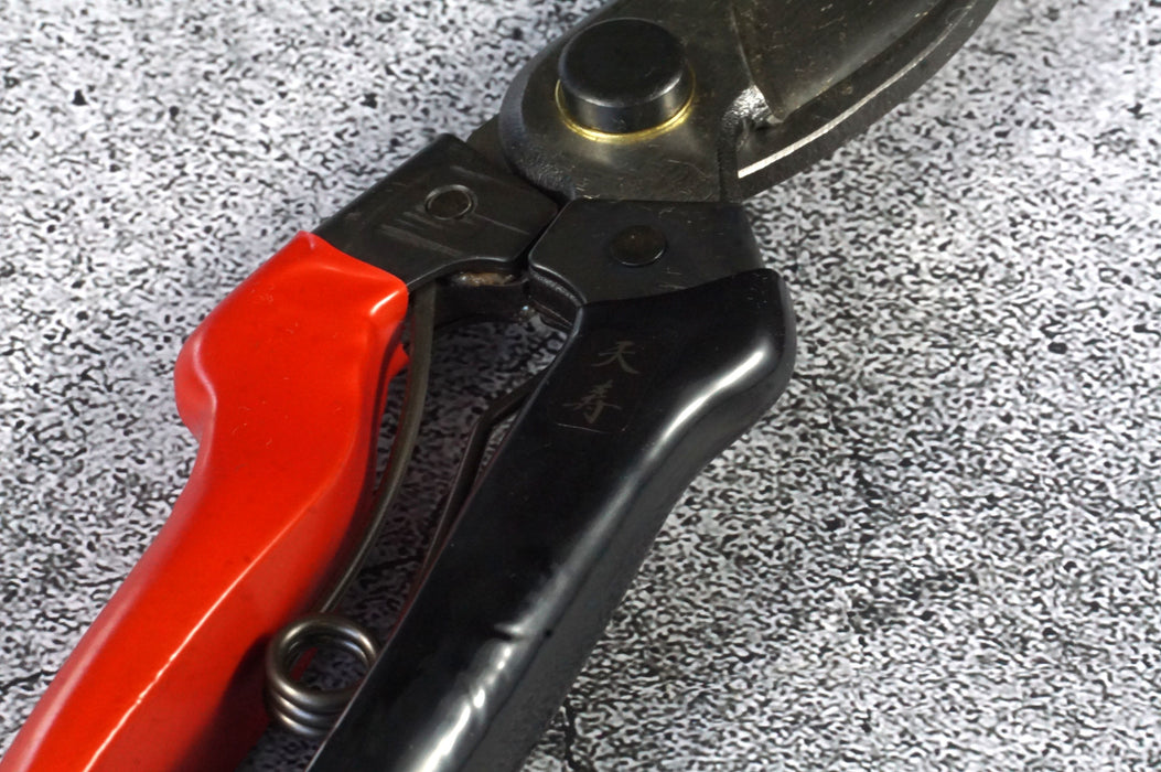 Tenju Pruning Shears 200 ㎜ Forged High Quality Steel Blade Made in Japan