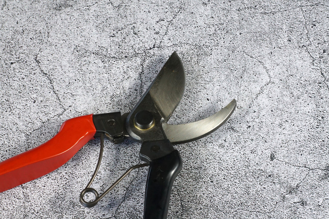 Tenju Pruning Shears 200 ㎜ Forged High Quality Steel Blade Made in Japan