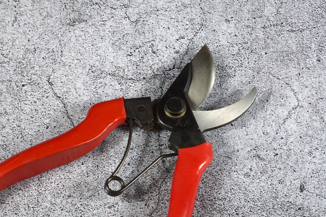 Tenju Pruning Shears A Type 195 mm SK-5