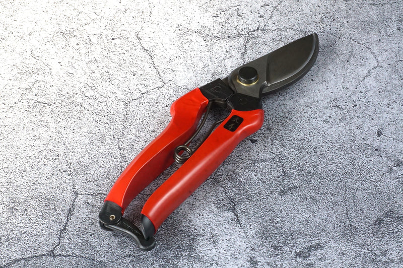Tenju Pruning Shears 200 ㎜ Forged High Quality Steel Blade Made in Japan (1-Piece / 6-Piece Set)