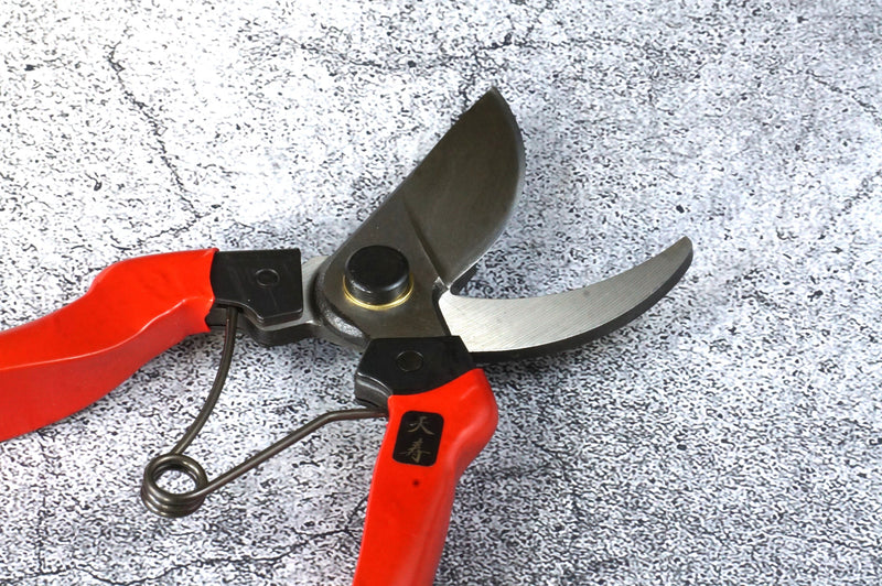 Tenju Pruning Shears 200 ㎜ Forged High Quality Steel Blade Made in Japan (1-Piece / 6-Piece Set)