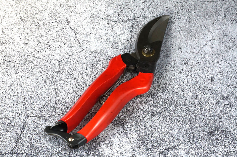 Tenju Pruning Shears 200 ㎜ Forged High Quality Steel Blade Made in Japan (1-Piece / 6-Piece Set)
