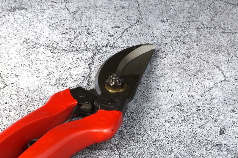 Tenju Pruning Shears 200 ㎜ Forged High Quality Steel Blade Made in Japan (1-Piece / 6-Piece Set)