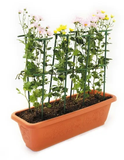 ISHIZAKI Flower Support – Available in Various Sizes