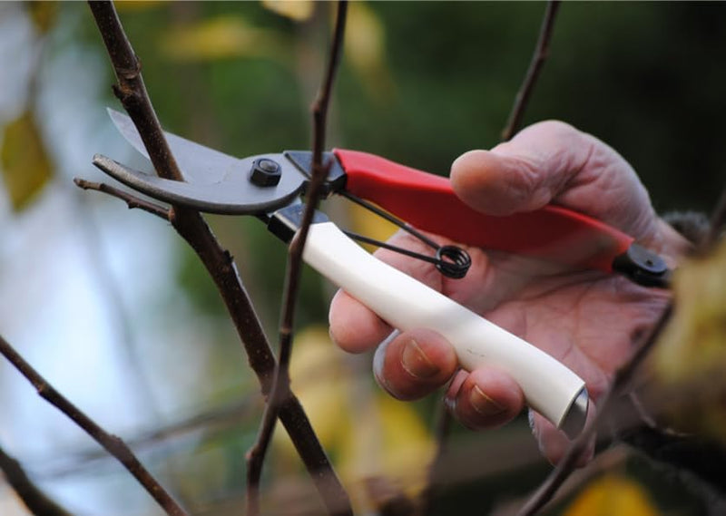 Okatsune Pruning Tools Kit 4-piece Set