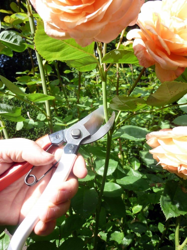 Okatsune Pruning Tools Kit 4-piece Set