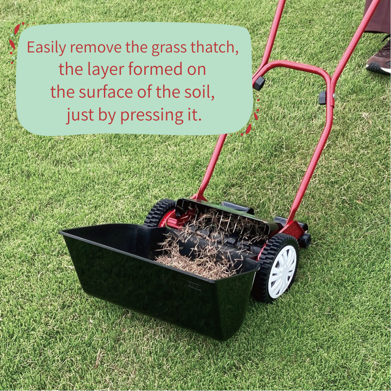 Hand-operated Lawn Sweeper SS-2000