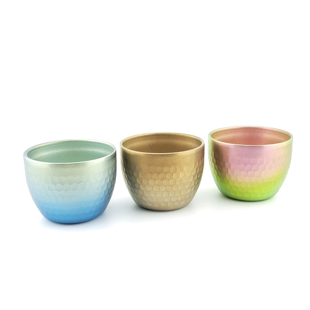 Titanium Hammered Sake Cup Double-Wall 80 ml Made in Tsubame Japan
