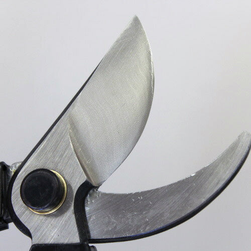 Tenju Pruning Shears 200 ㎜ Forged High Quality Steel Blade Made in Japan (1-Piece / 6-Piece Set)