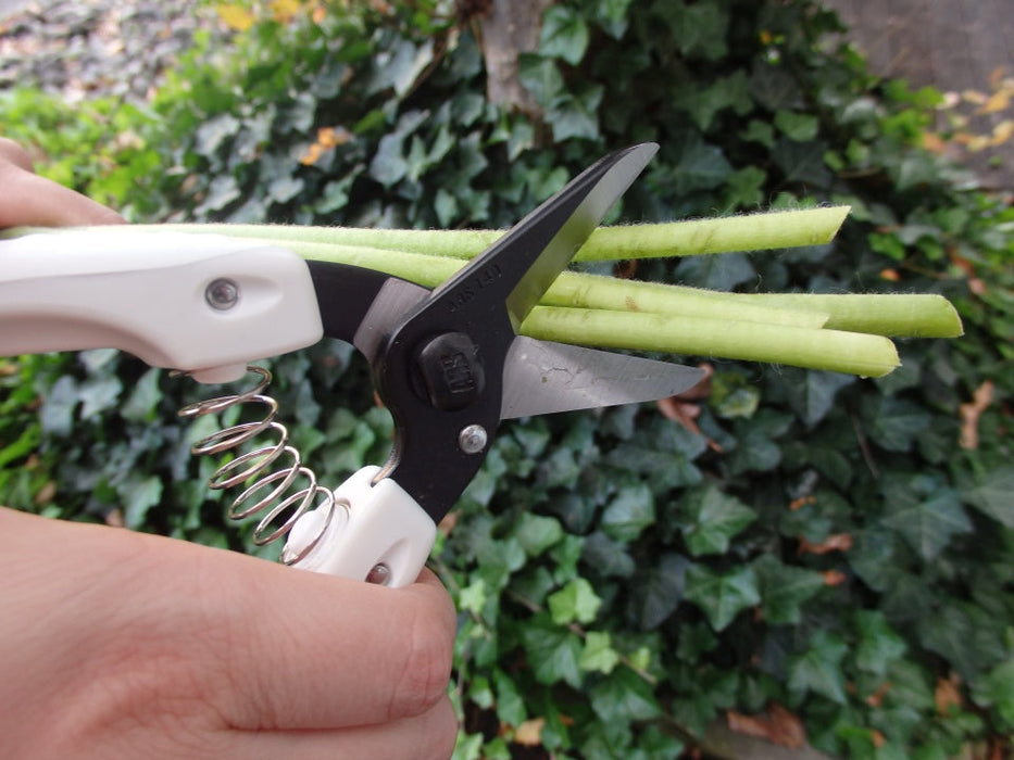 ARS Pruning Shears Family Black No. 140B
