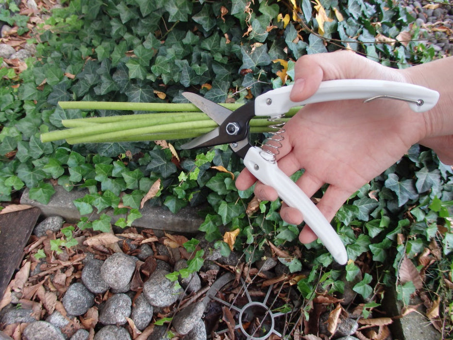 ARS Pruning Shears Family Black No. 140B