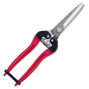 ARS Gardening Shears Wide Blade Stainless (Blister Pack) No. 300LW-DX-BP