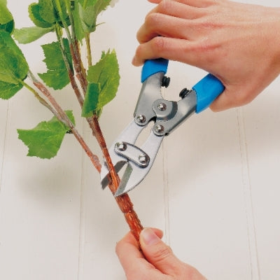 ARS Nipper for Flower Bouque No. FA-35BL