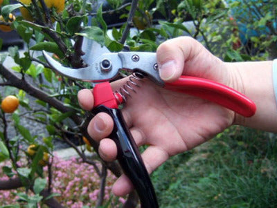 ARS Pruning Shears VS8 Rotary Type No. VS-8R