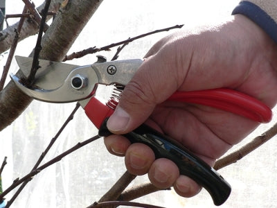ARS Pruning Shears VS8 Rotary Type No. VS-8R