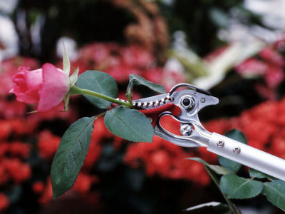 ARS Gardening Shears for Picking Flowers No. 150-0.6D