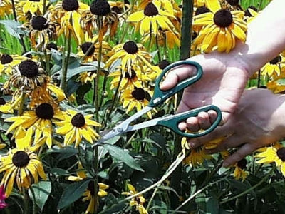 ARS Gardening Scissors with Cap No. GC-380