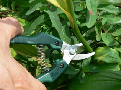 ARS Gardening Scissors with Cap Pruner Type No. GC-SE-30