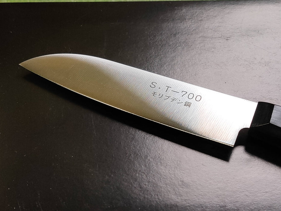 Seki Kanetsune Fruit knife with wooden sheath ST-700